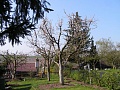 Obr: 206.jpg
