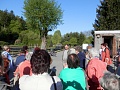 Obr: 16310.jpg