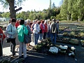 Obr: 16311.jpg