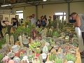Obr: 2481.jpg