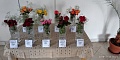 Obr: 26706.jpg