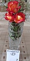 Obr: 26709.jpg