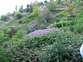Obr: 6088.jpg