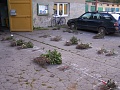 Obr: 689.jpg