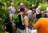 Obr: 3093.jpg