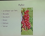 Obr: 3112.jpg