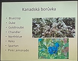 Obr: 3114.jpg