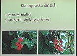Obr: 3119.jpg