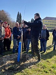 Obr: 3259.jpg