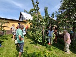 Obr: 3374.jpg