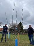 Obr: 3794.jpg